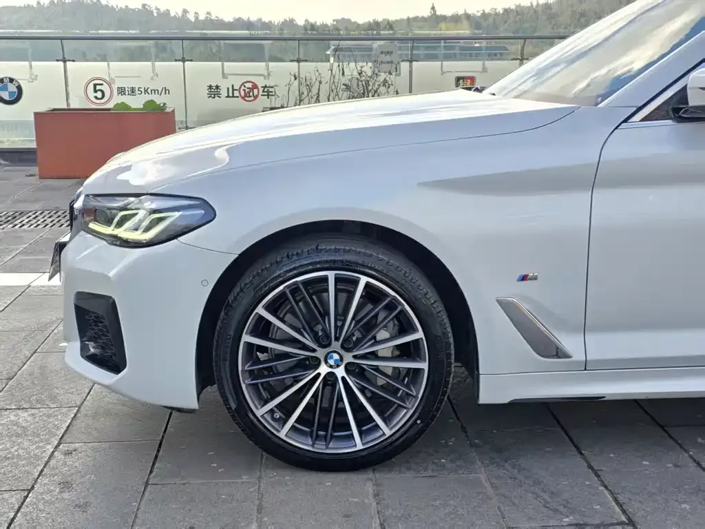 BMW 5 Series 2023 из CN, фото 2