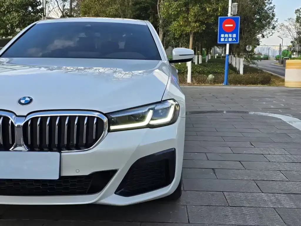 BMW 5 Series 2023 из CN, фото 10