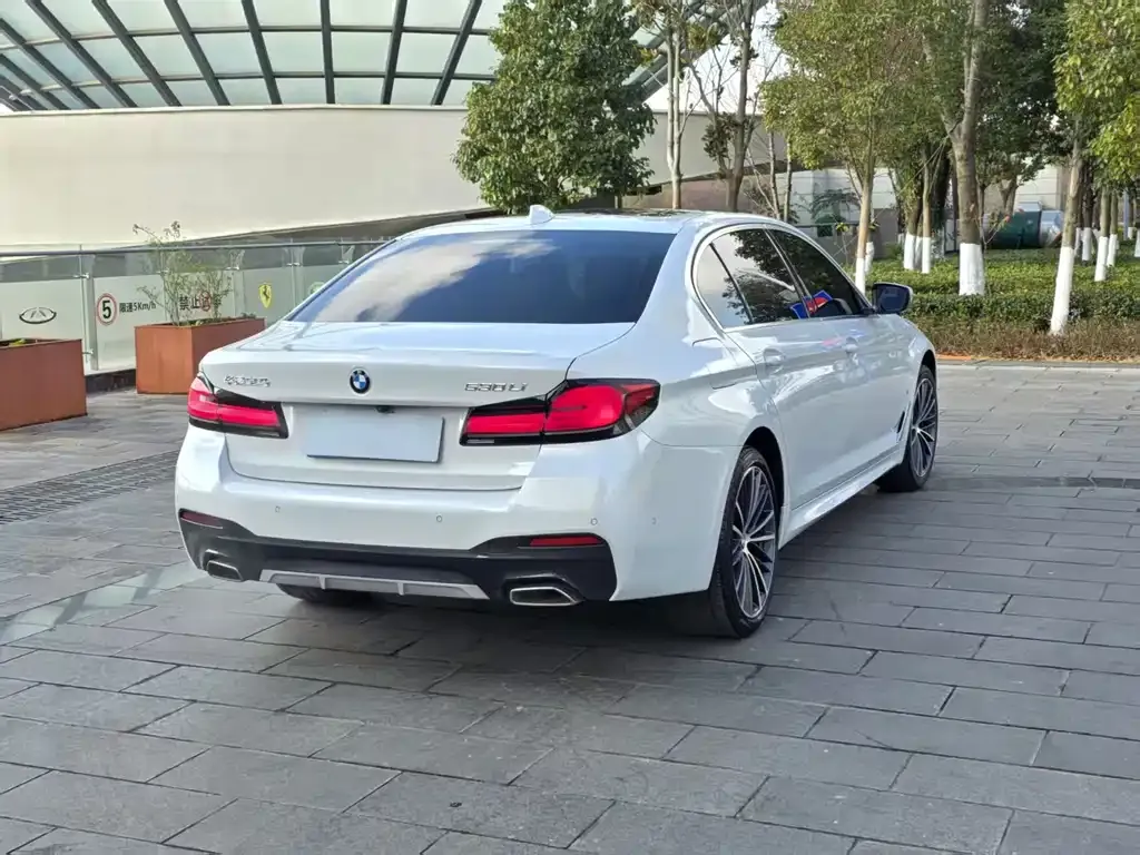 BMW 5 Series 2023 из CN, фото 6