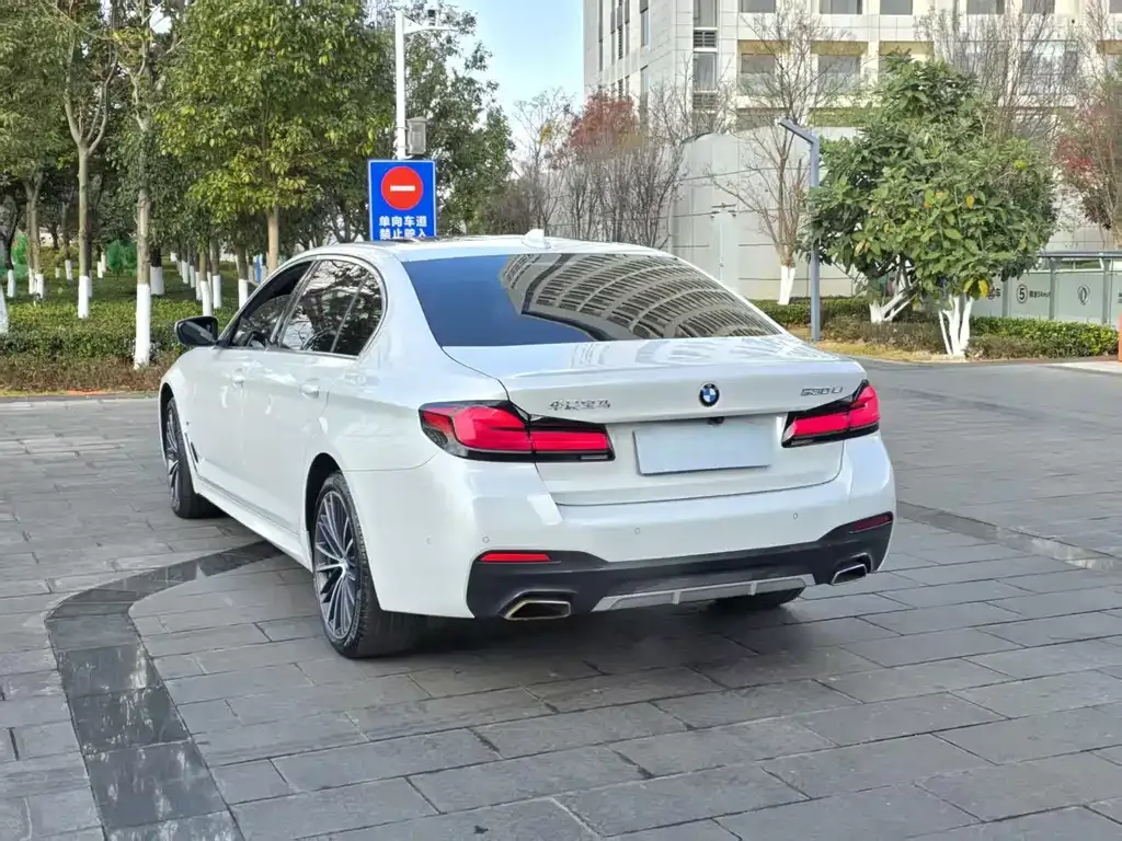 BMW 5 Series 2023 из CN, фото 5