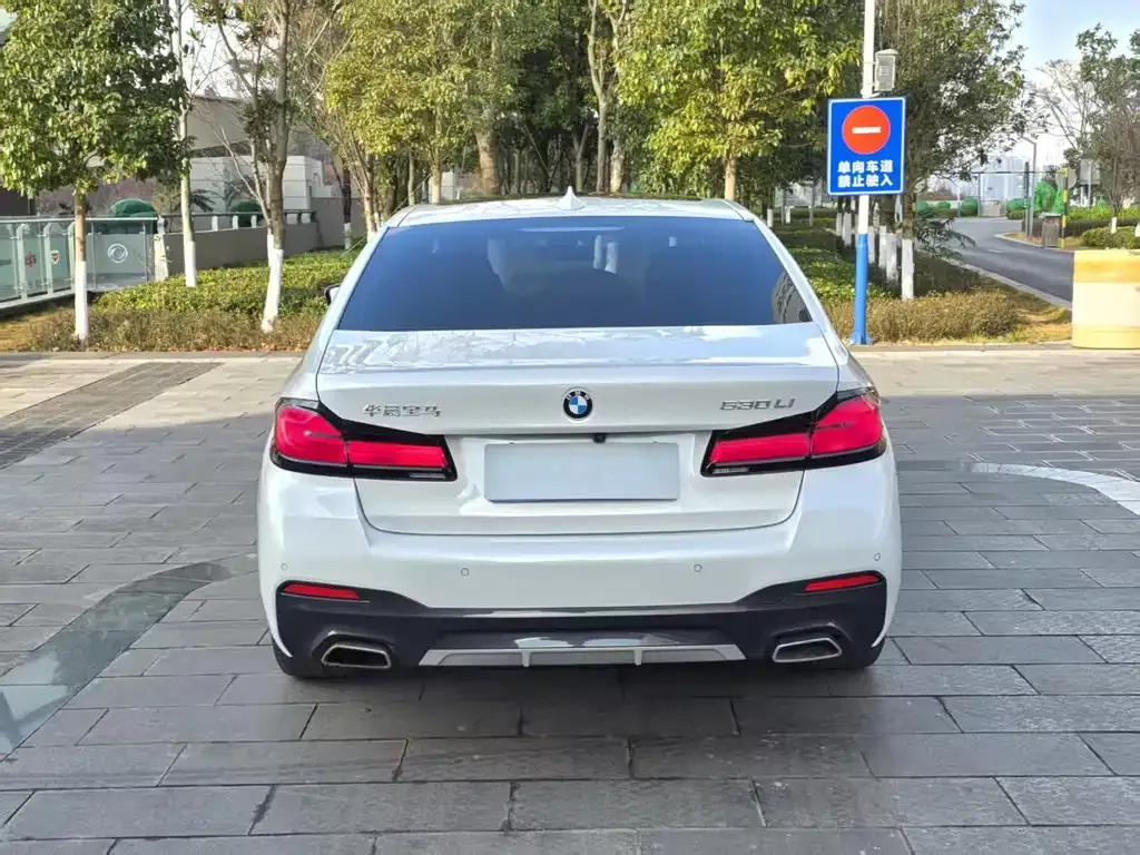 BMW 5 Series 2023 из CN, фото 9