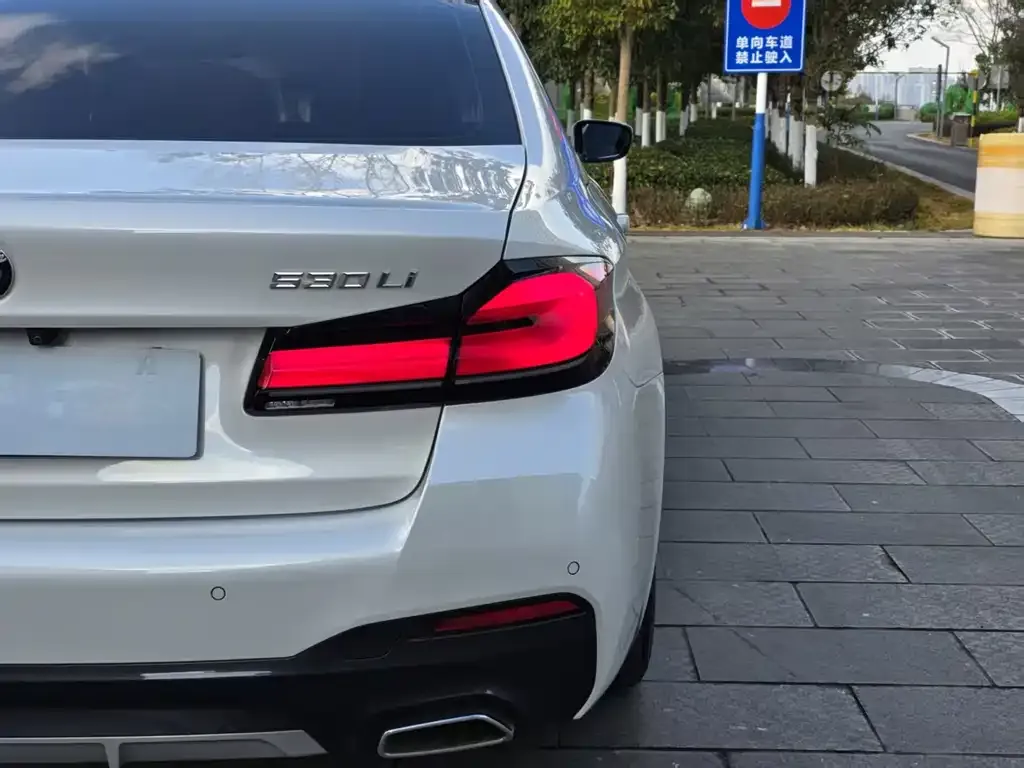 BMW 5 Series 2023 из CN, фото 3
