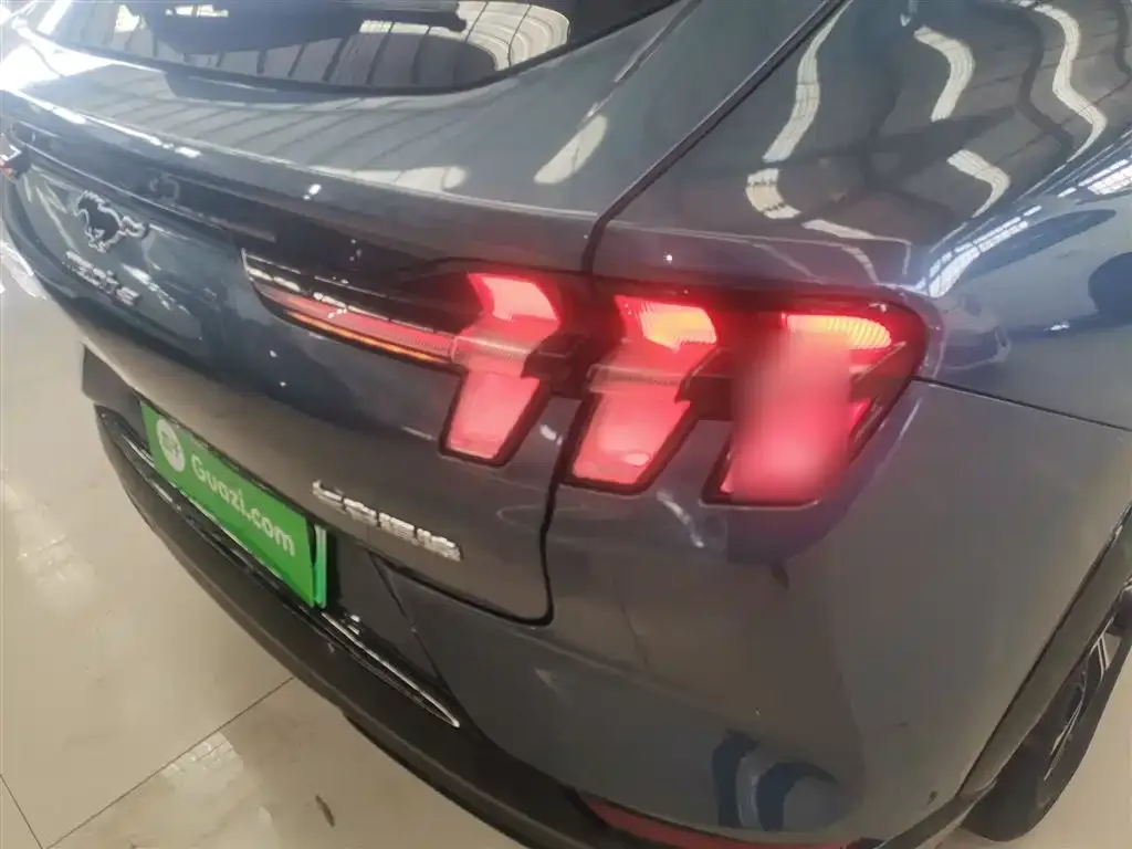 Ford Mustang Mach-E 2022 из CN, фото 8
