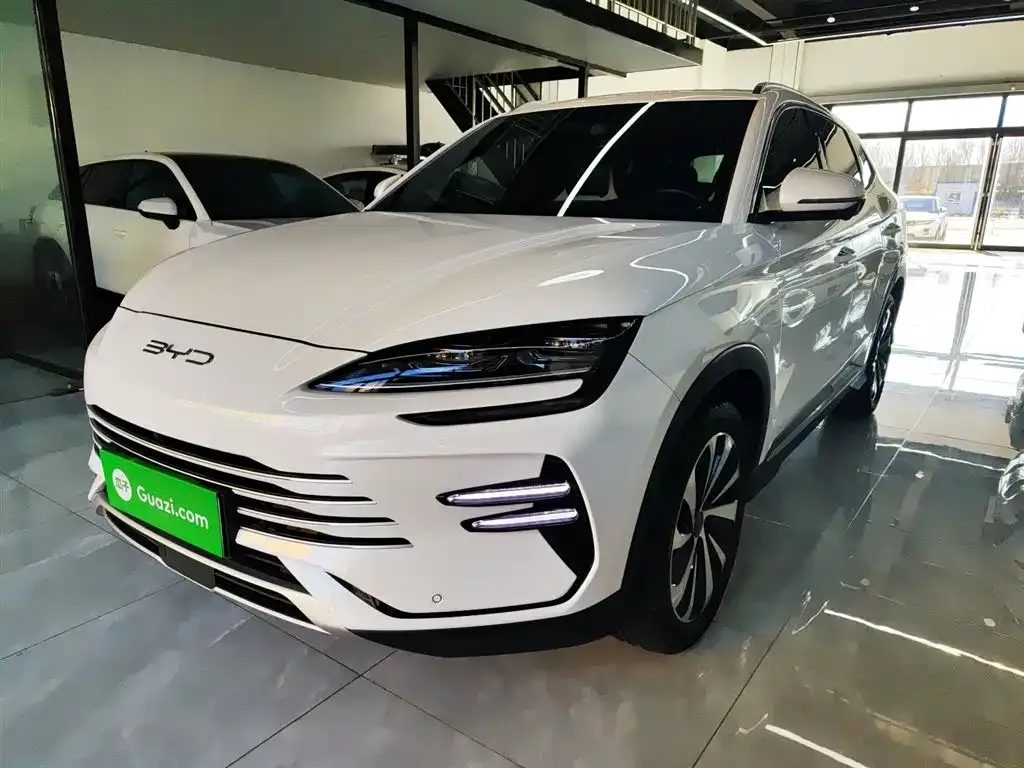 BYD PLUS New Energy — фото 9