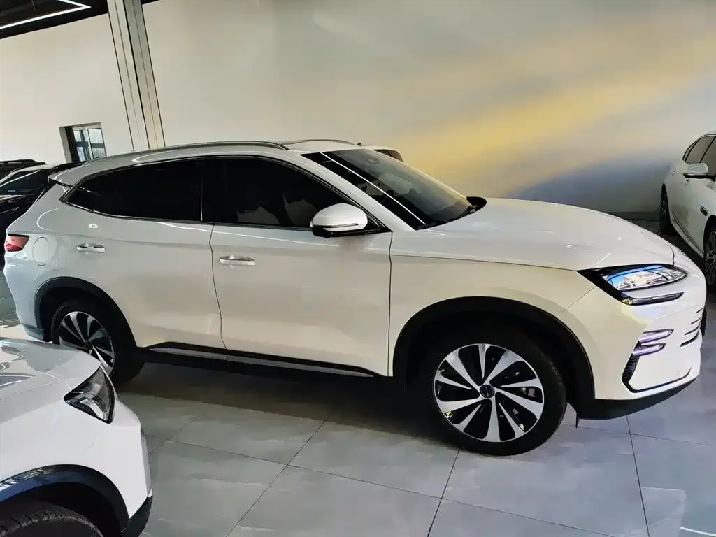 BYD PLUS New Energy — фото 10