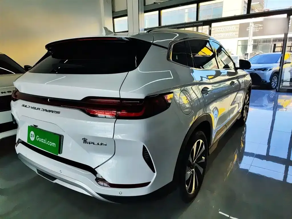 BYD PLUS New Energy — фото 8