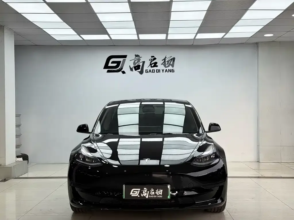 Tesla Model 3 2023 из CN, фото 2