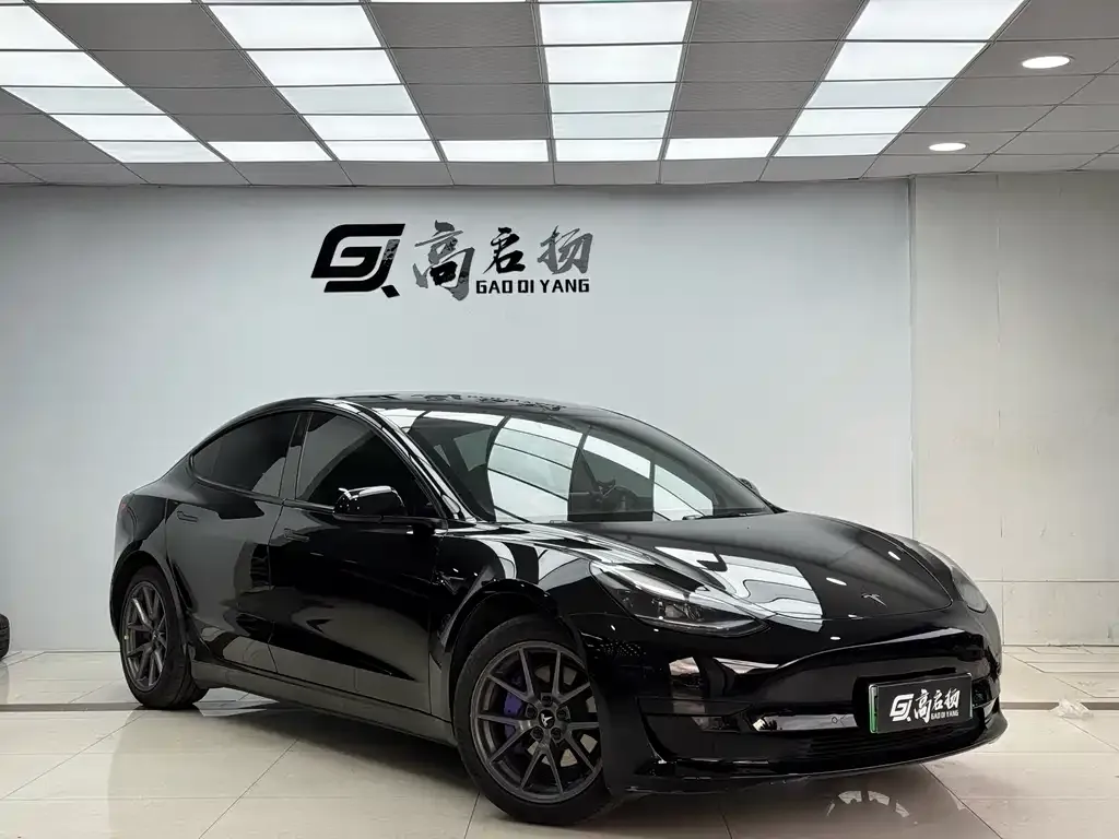 Tesla Model 3 2023 из CN, фото 3