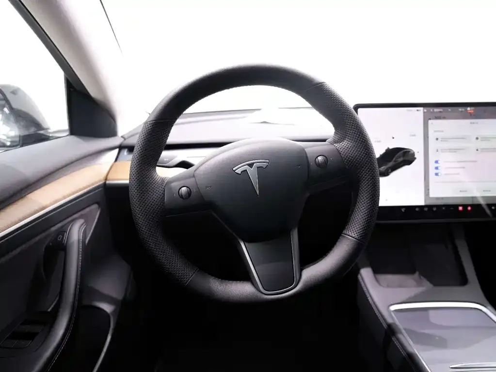 Tesla Model 3 2021 из CN, фото 10