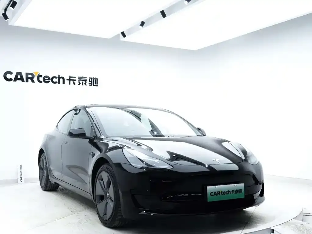 Tesla Model 3 2021 из CN, фото 3