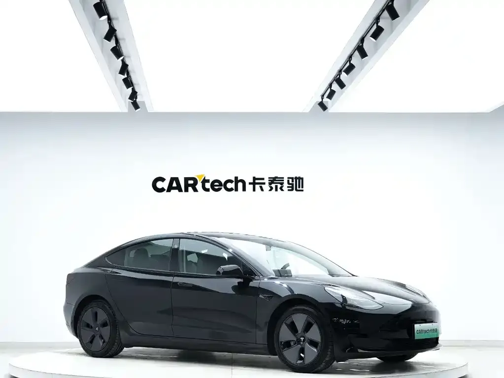 Tesla Model 3 2021 из CN, фото 4