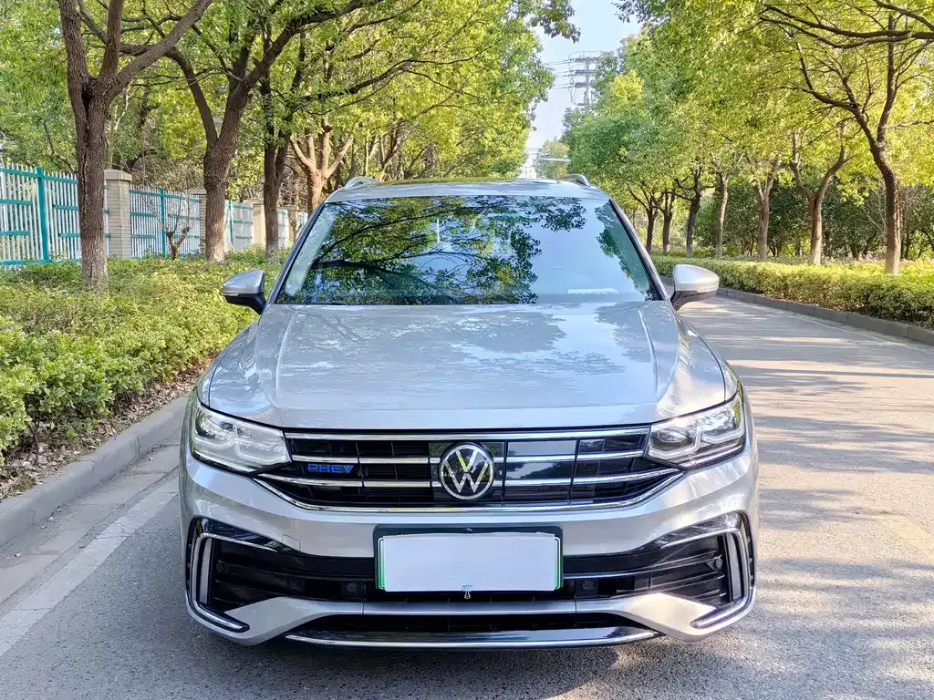 Volkswagen Tiguan L New Energy