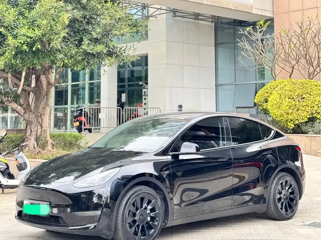 Tesla Model Y 2021 из CN, фото 1