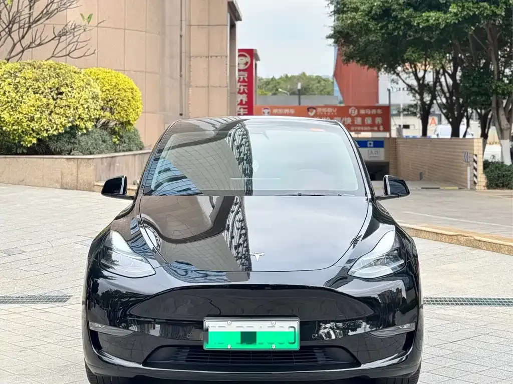 Tesla Model Y 2021 из CN, фото 4