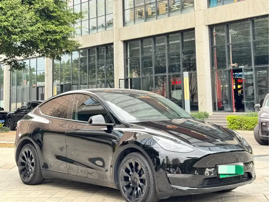 Tesla Model Y 2021 из CN, фото 9