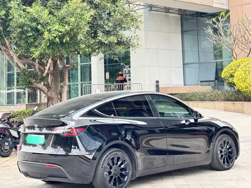 Tesla Model Y 2021 из CN, фото 7