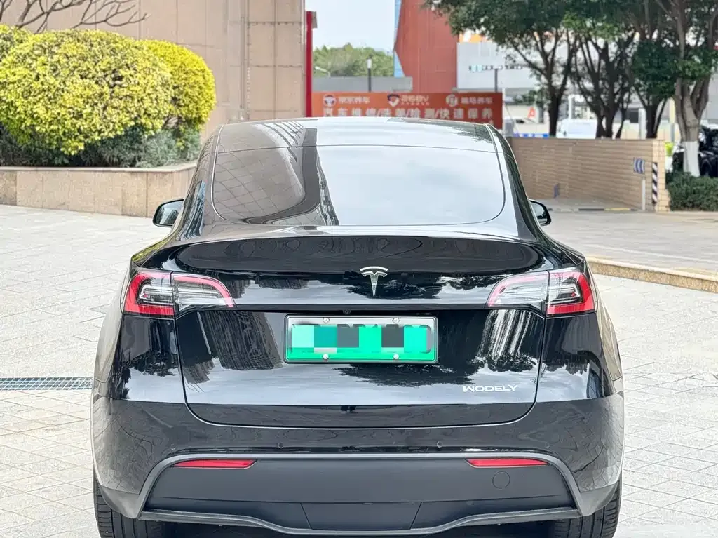 Tesla Model Y 2021 из CN, фото 8