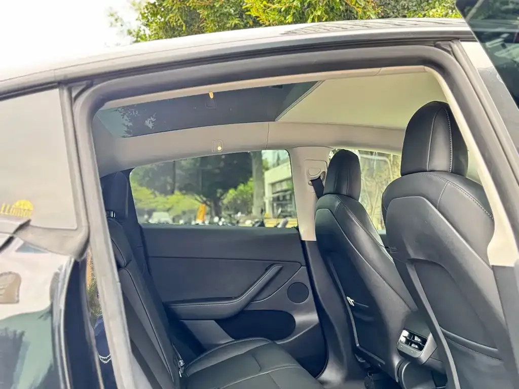 Tesla Model Y 2021 из CN, фото 3