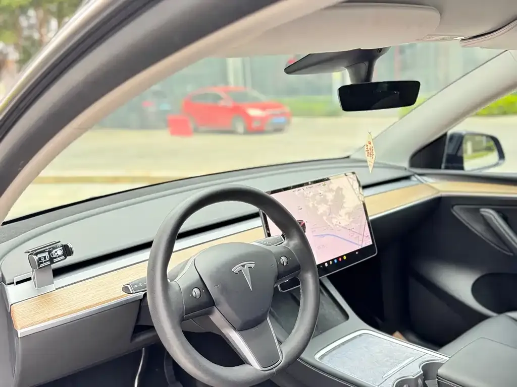 Tesla Model Y 2021 из CN, фото 5