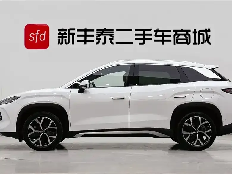 BYD L DM-i — фото 2