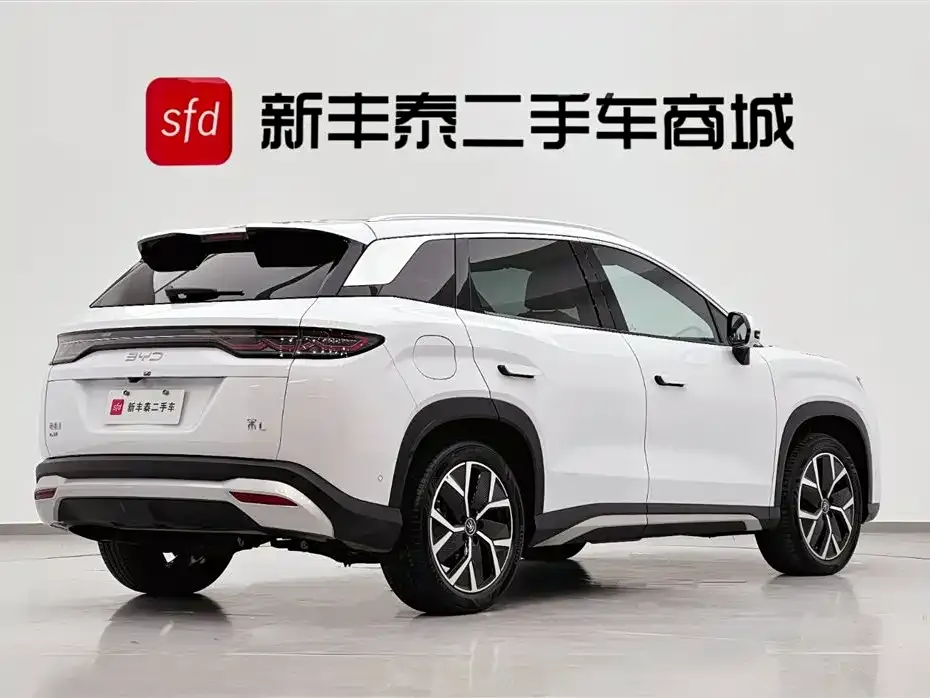 BYD L DM-i — фото 10