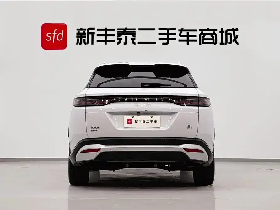 BYD L DM-i — фото 5