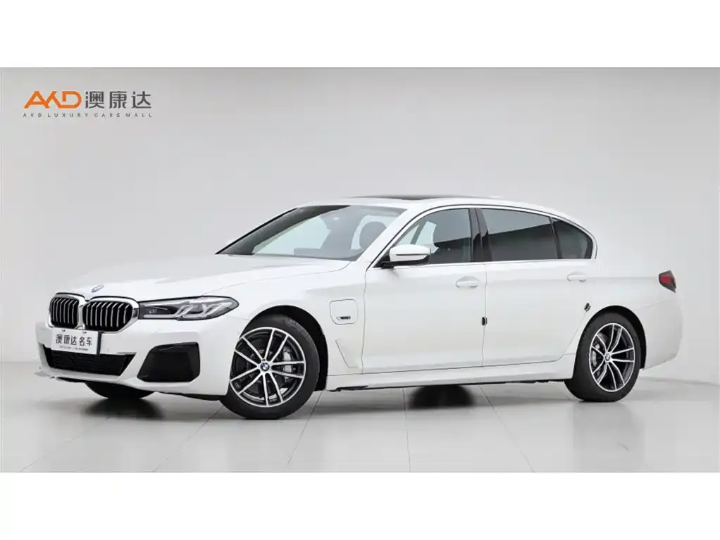 BMW 5 Series New Energy 2022 из CN, фото 1