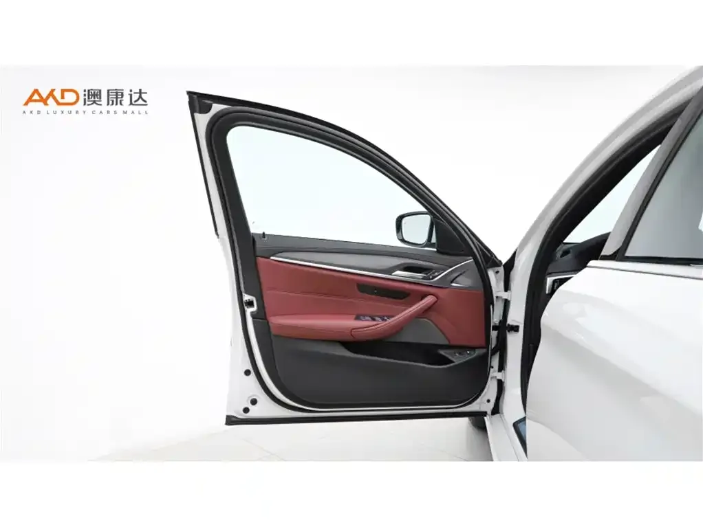 BMW 5 Series New Energy 2022 из CN, фото 6