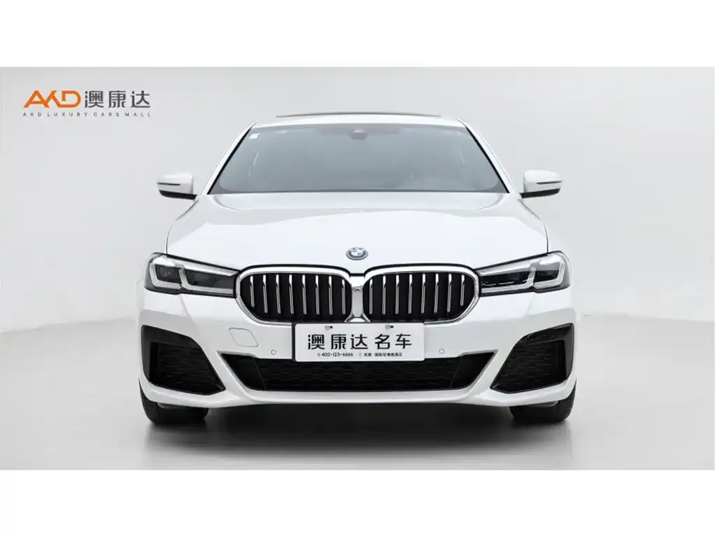 BMW 5 Series New Energy 2022 из CN, фото 3