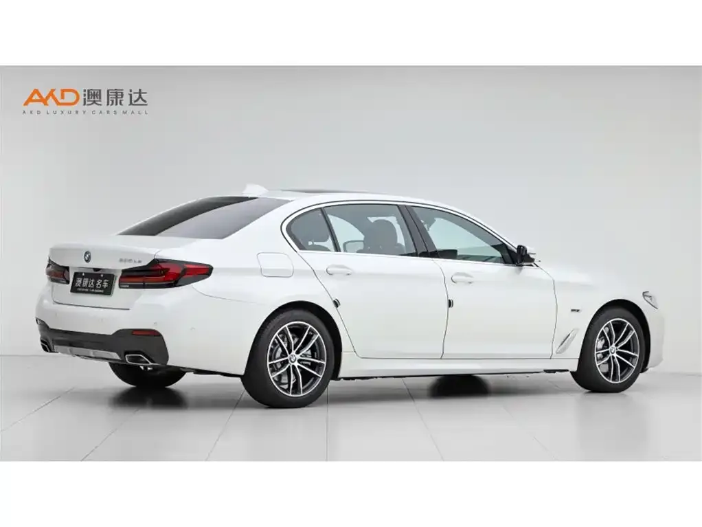 BMW 5 Series New Energy 2022 из CN, фото 2