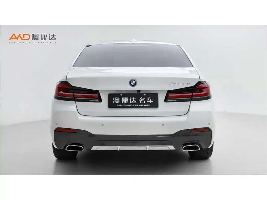BMW 5 Series New Energy 2022 из CN, фото 10