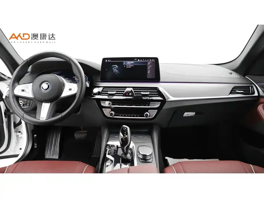 BMW 5 Series New Energy 2022 из CN, фото 9