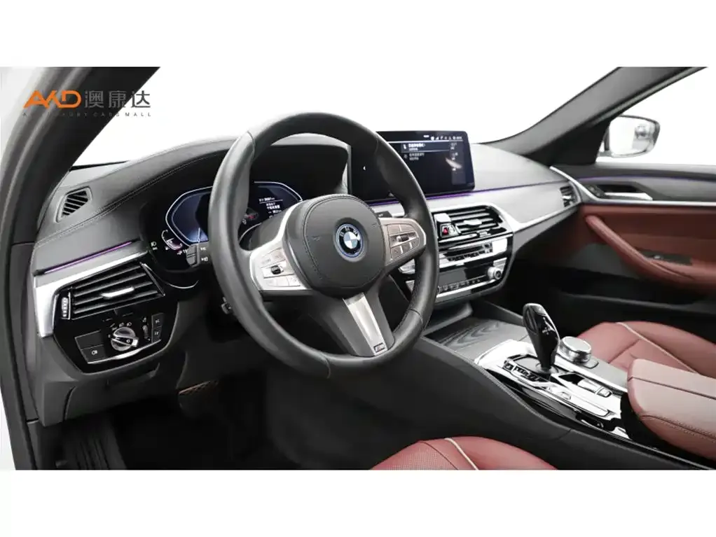 BMW 5 Series New Energy 2022 из CN, фото 7