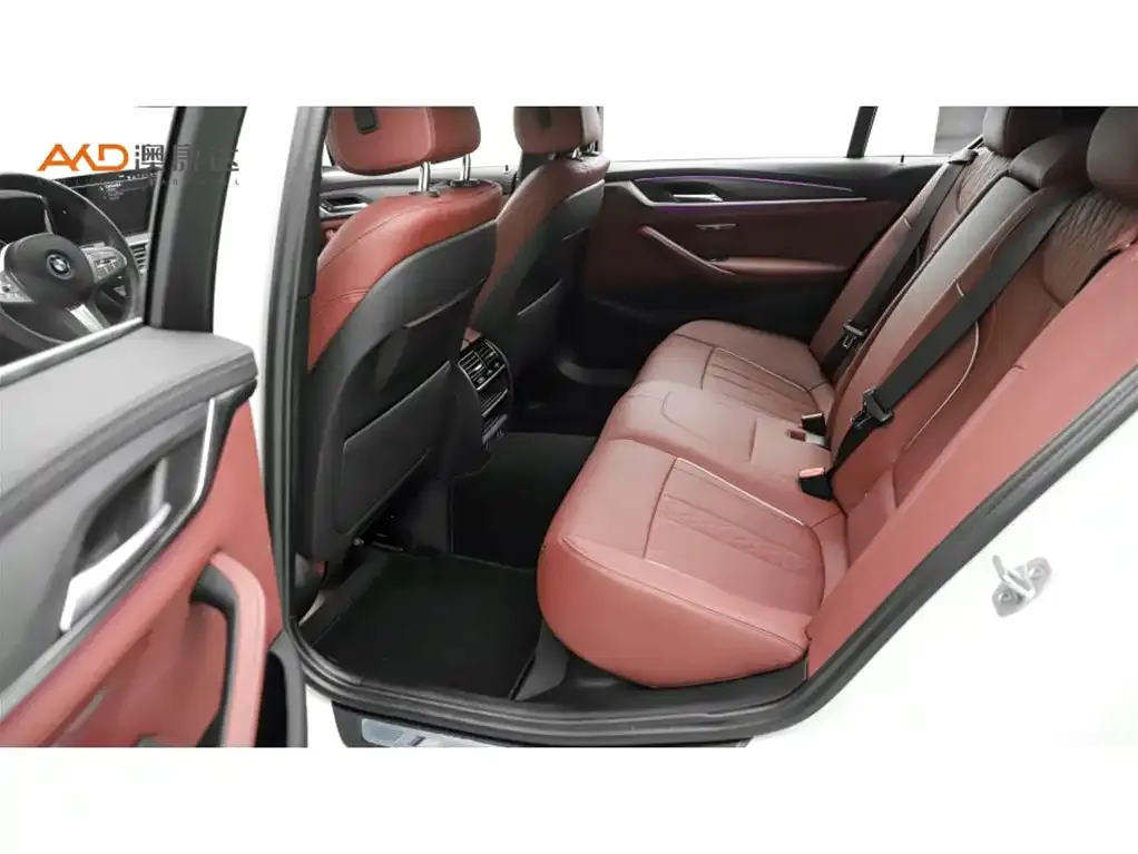 BMW 5 Series New Energy 2022 из CN, фото 4