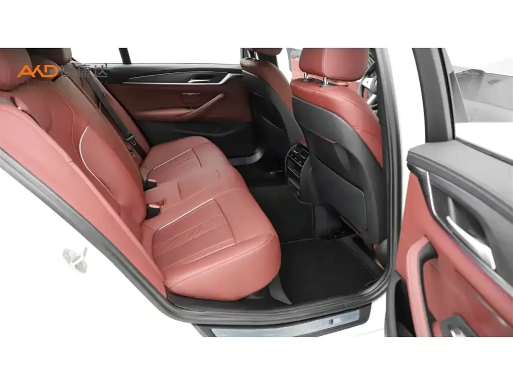 BMW 5 Series New Energy 2022 из CN, фото 5