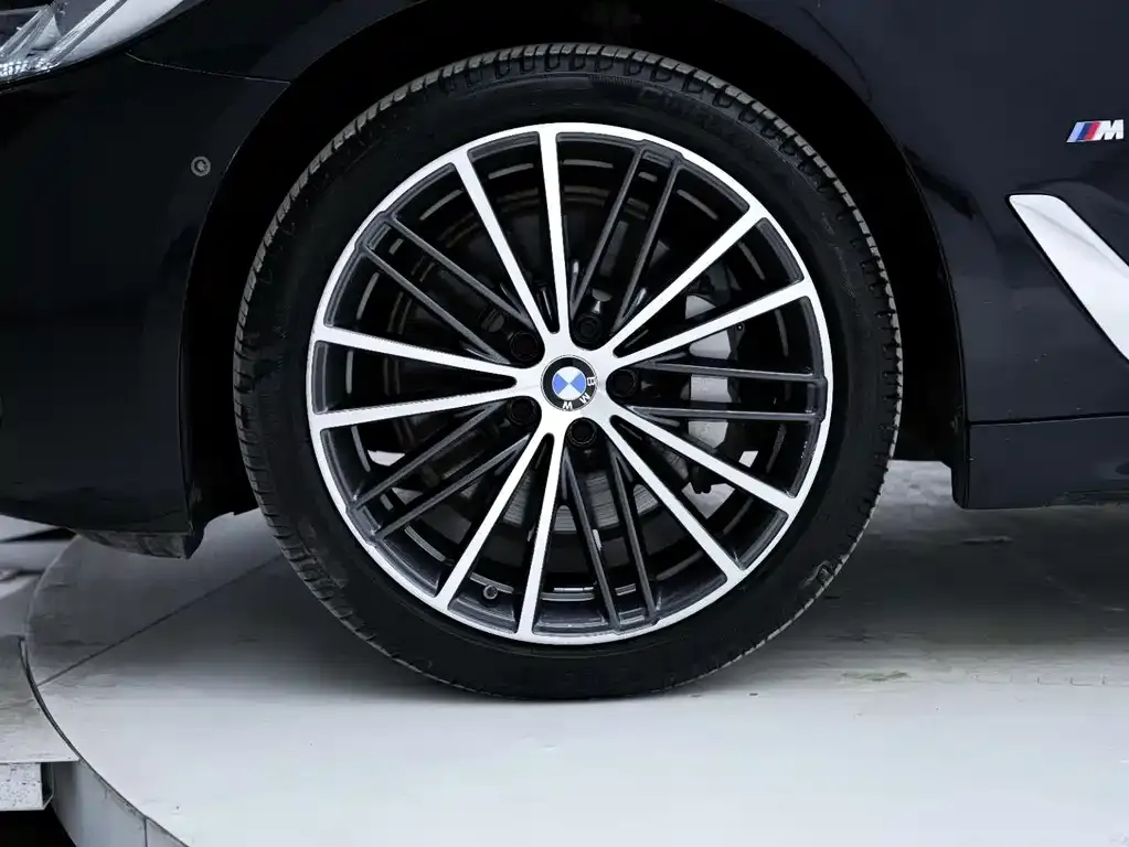 BMW 5 Series 2022 из CN, фото 10