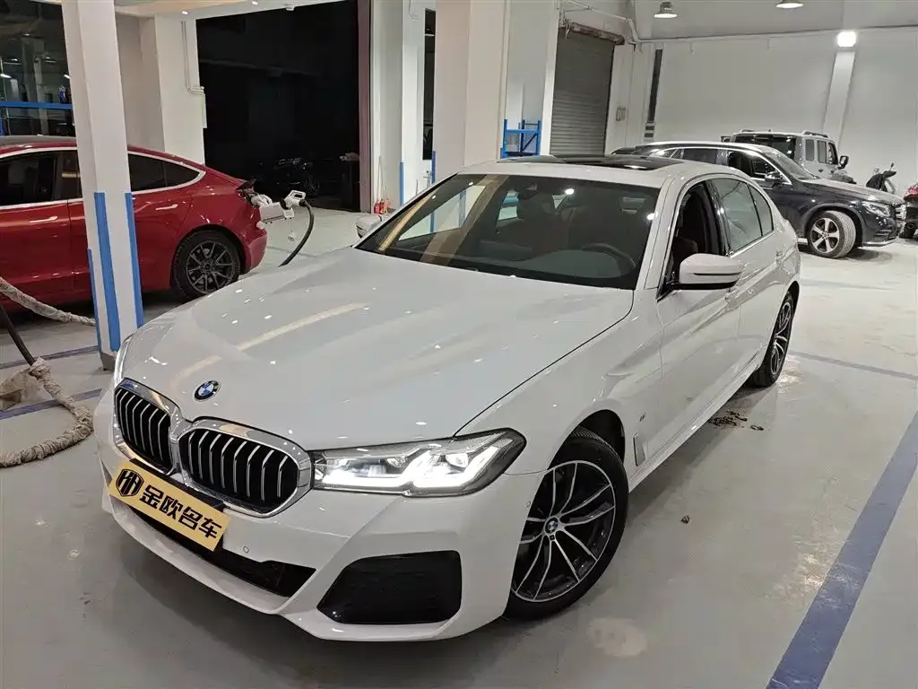 BMW 5 Series 2024 из CN, фото 1