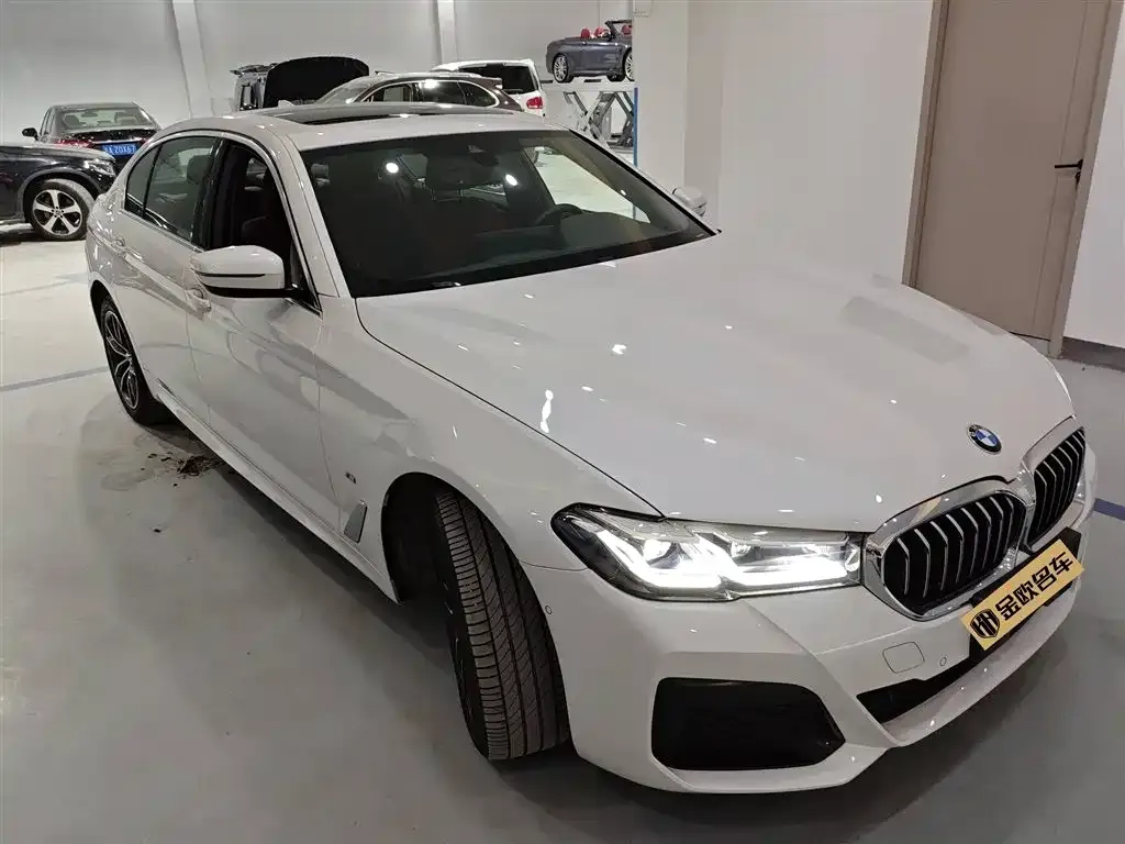 BMW 5 Series 2024 из CN, фото 3