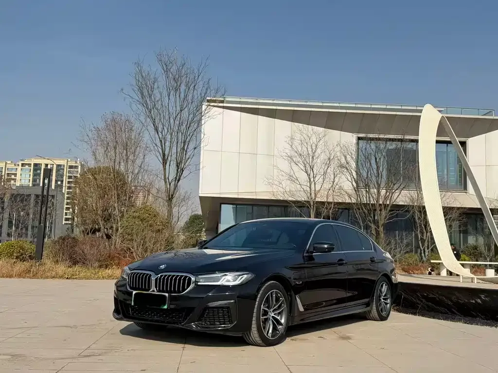 BMW 5 Series New Energy 2022 из CN, фото 1