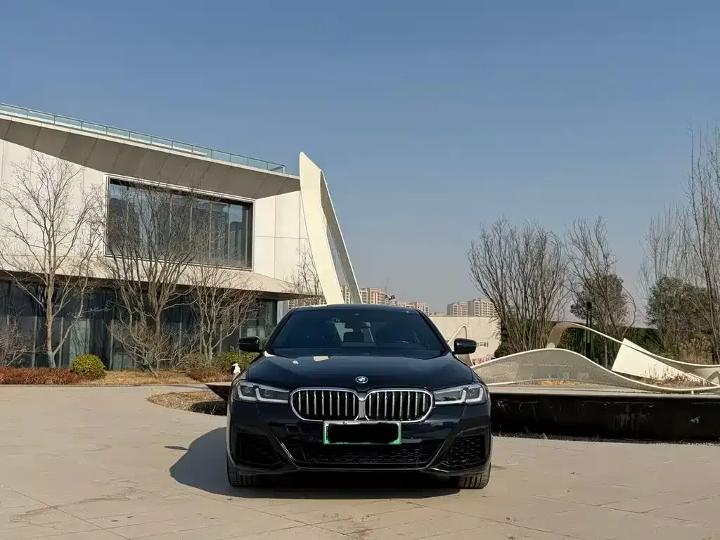 BMW 5 Series New Energy 2022 из CN, фото 9