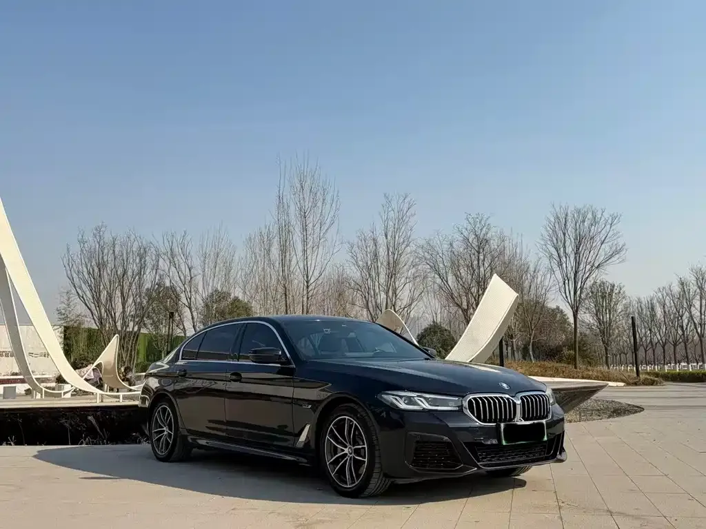 BMW 5 Series New Energy 2022 из CN, фото 2