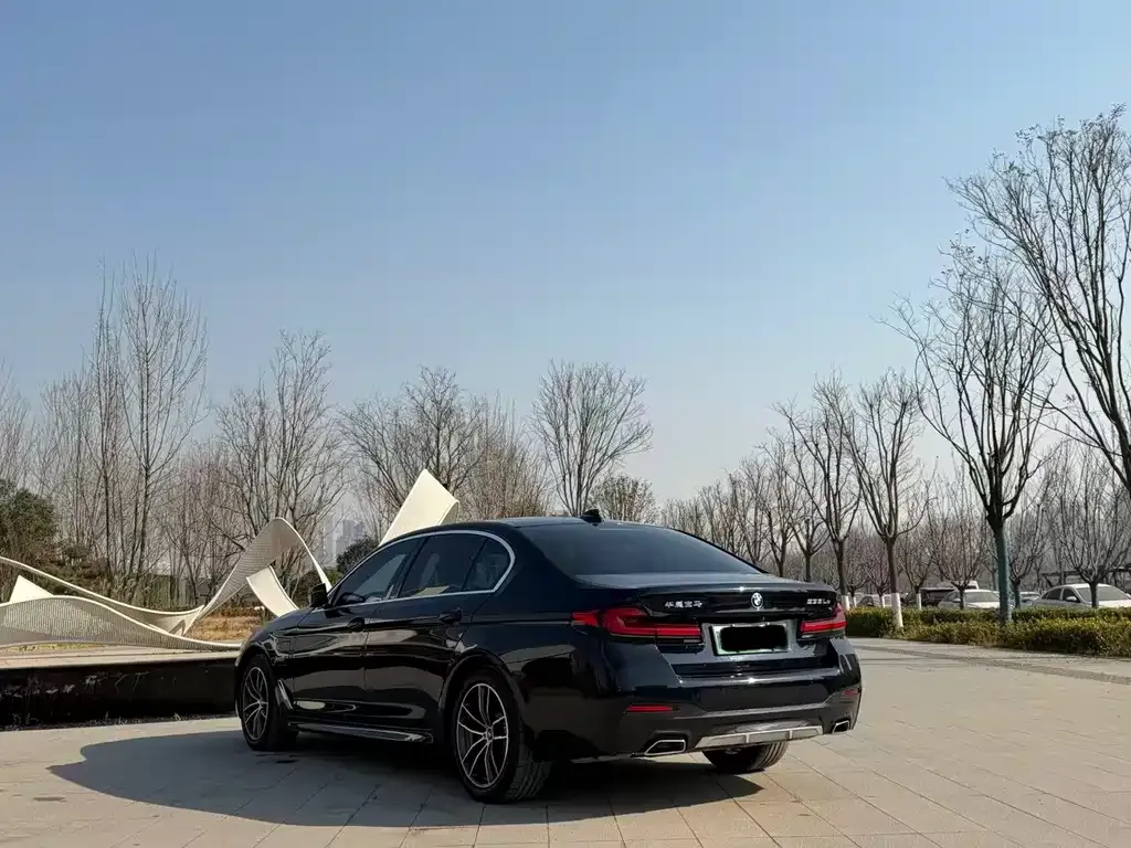 BMW 5 Series New Energy 2022 из CN, фото 3