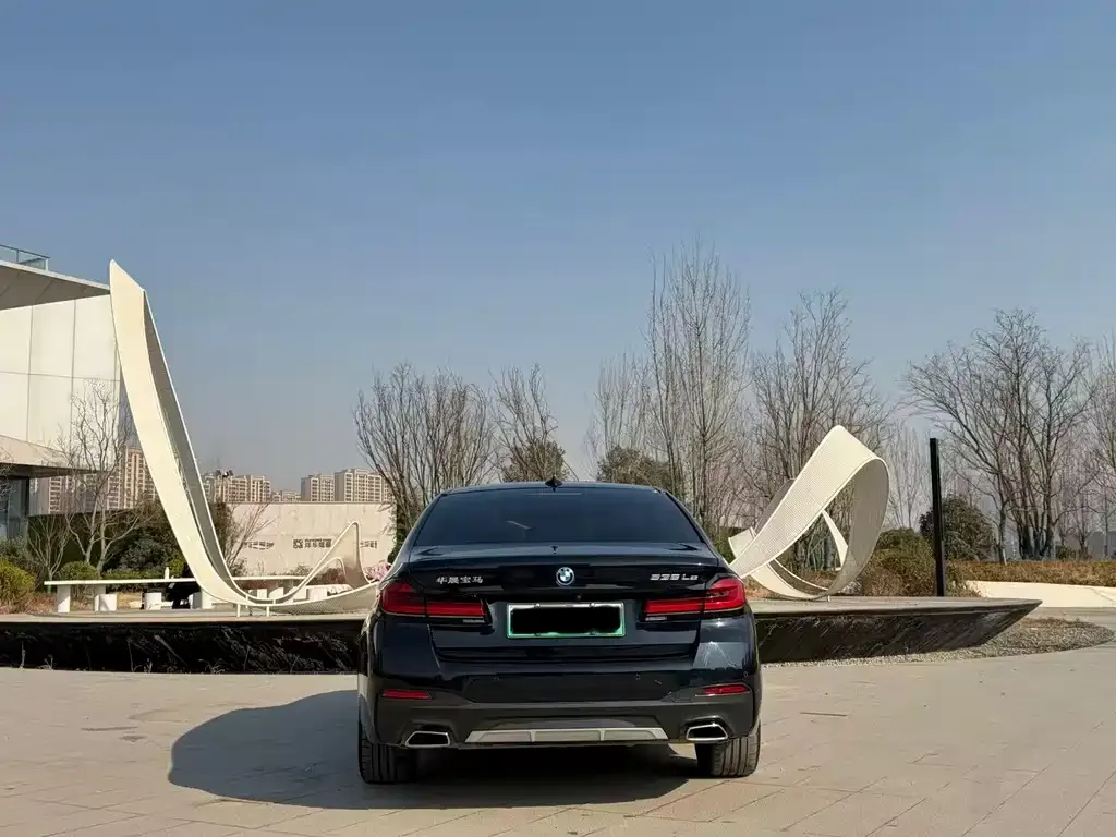 BMW 5 Series New Energy 2022 из CN, фото 8