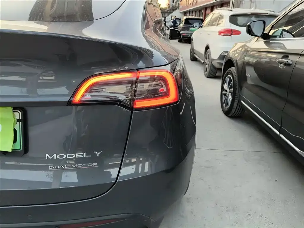 Tesla Model Y 2021 из CN, фото 6