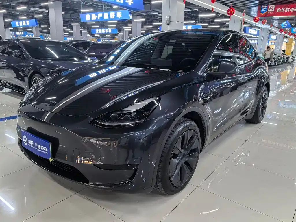 Tesla Model Y — фото 1