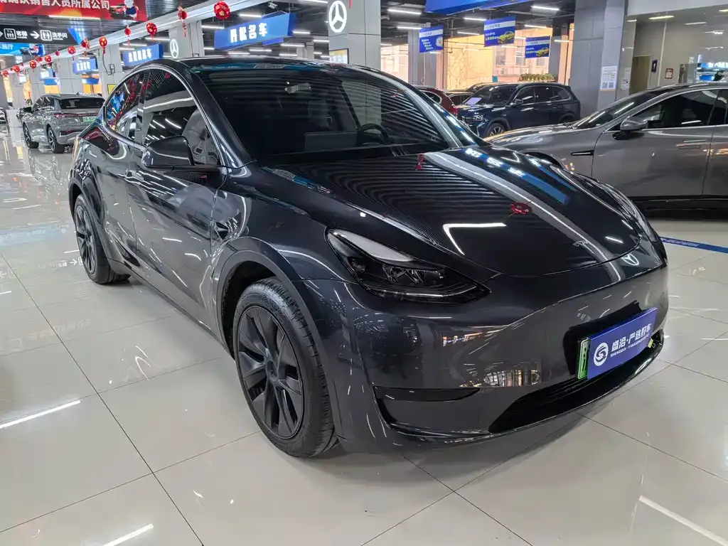 Tesla Model Y — фото 5
