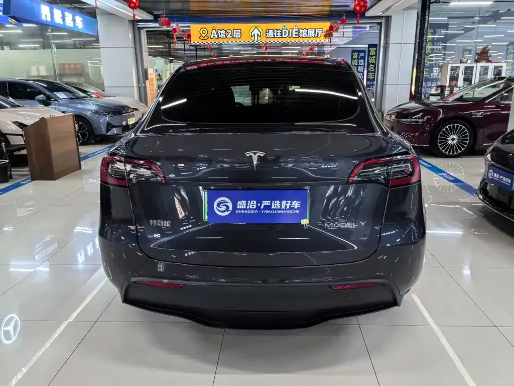 Tesla Model Y — фото 8