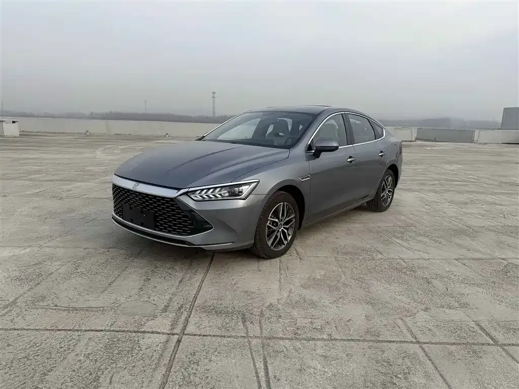 BYD Qin PLUS 2025 из CN, фото 1