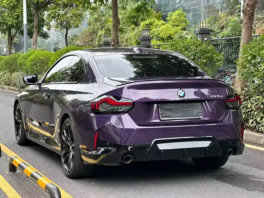 BMW 2 Series (Import) — фото 10