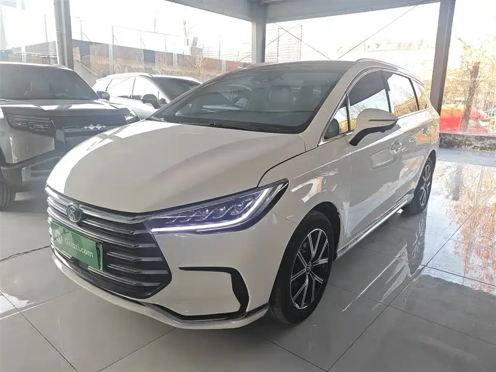 BYD MAX New Energy 2023 из CN, фото 6